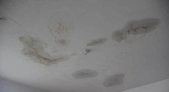 丁基防水富联注册